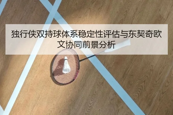 独行侠双持球体系稳定性评估与东契奇欧文协同前景分析
