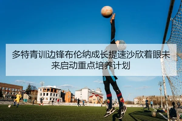 多特青训边锋布伦纳成长提速沙欣着眼未来启动重点培养计划